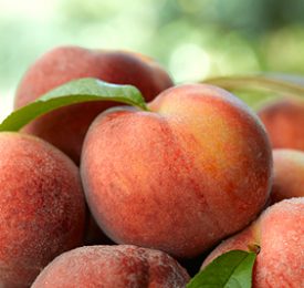 Grilled Peaches Drizzled with an Aged Balsamic Reduction